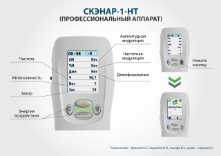 СКЭНАР-1-НТ (исполнение 01)  в Электроугле купить Медицинская техника - denasosteo.ru 